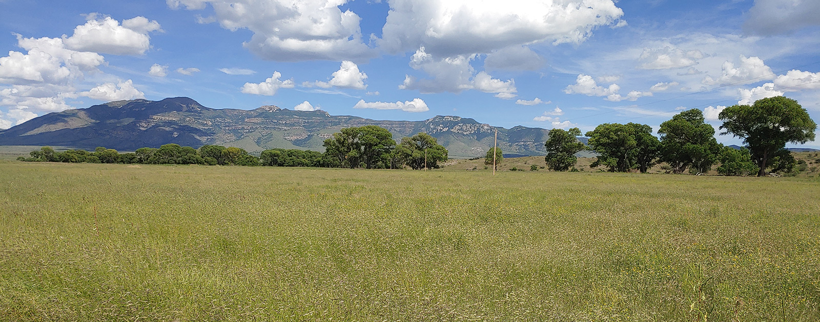 Midbar Ranch Mountains and Grass